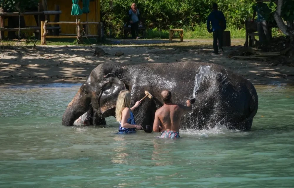 Koh Yao Elephant Beach Ko Yao
